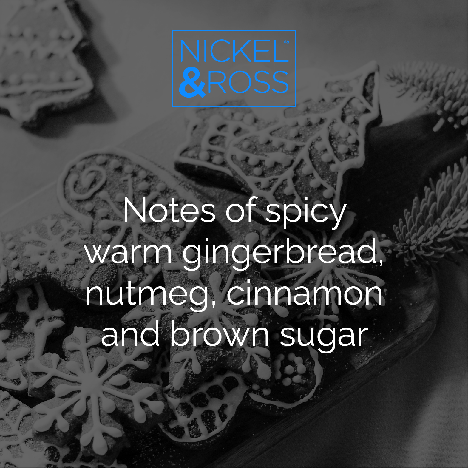 Gingerbread Home Inspired Fragrance Oil Artisan